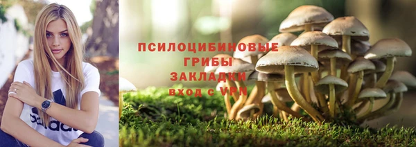 хмурый Пестово