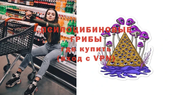 spice Пересвет