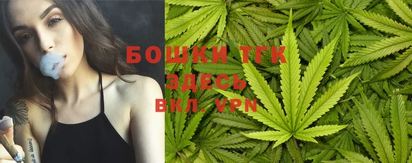 spice Пересвет