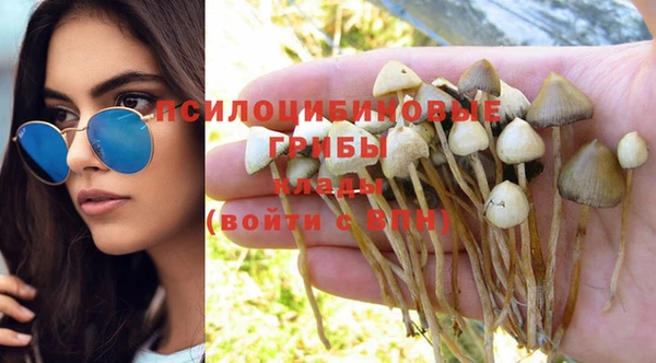 хмурый Пестово