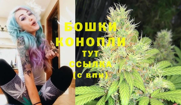 хмурый Пестово