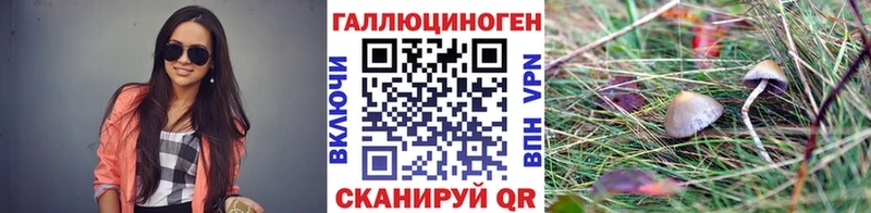 цены   Сатка  Галлюциногенные грибы Magic Shrooms 