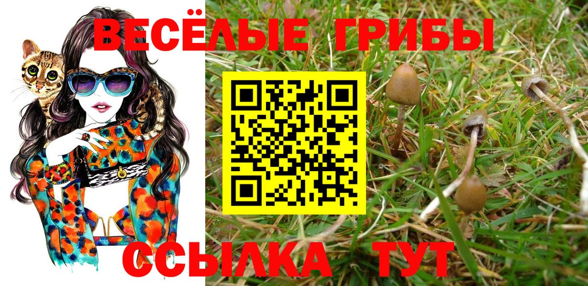 Галлюциногенные грибы прущие грибы Сатка