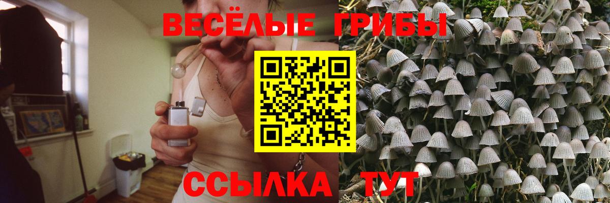 Псилоцибиновые грибы Psilocybine cubensis  Вход с VPN  Сатка 